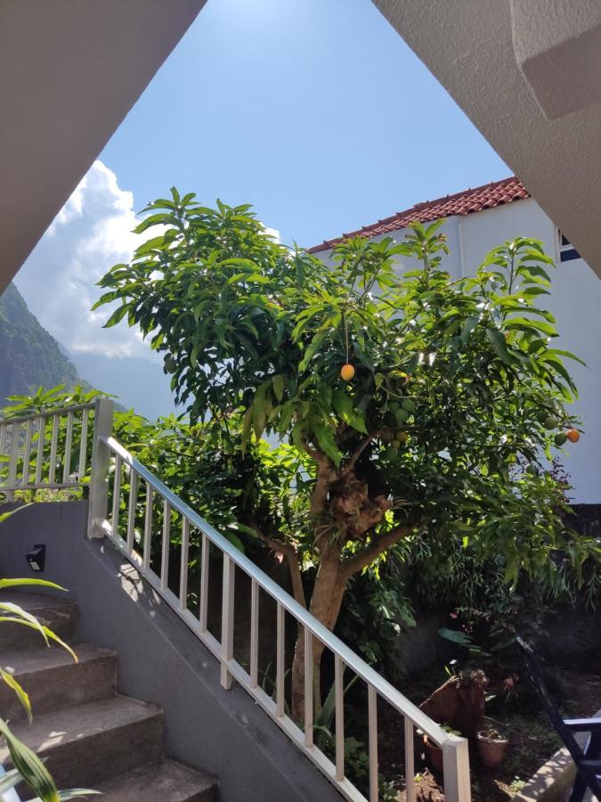 Апартаменты Casa Da Avo Rosa Сан-Висенти Экстерьер фото