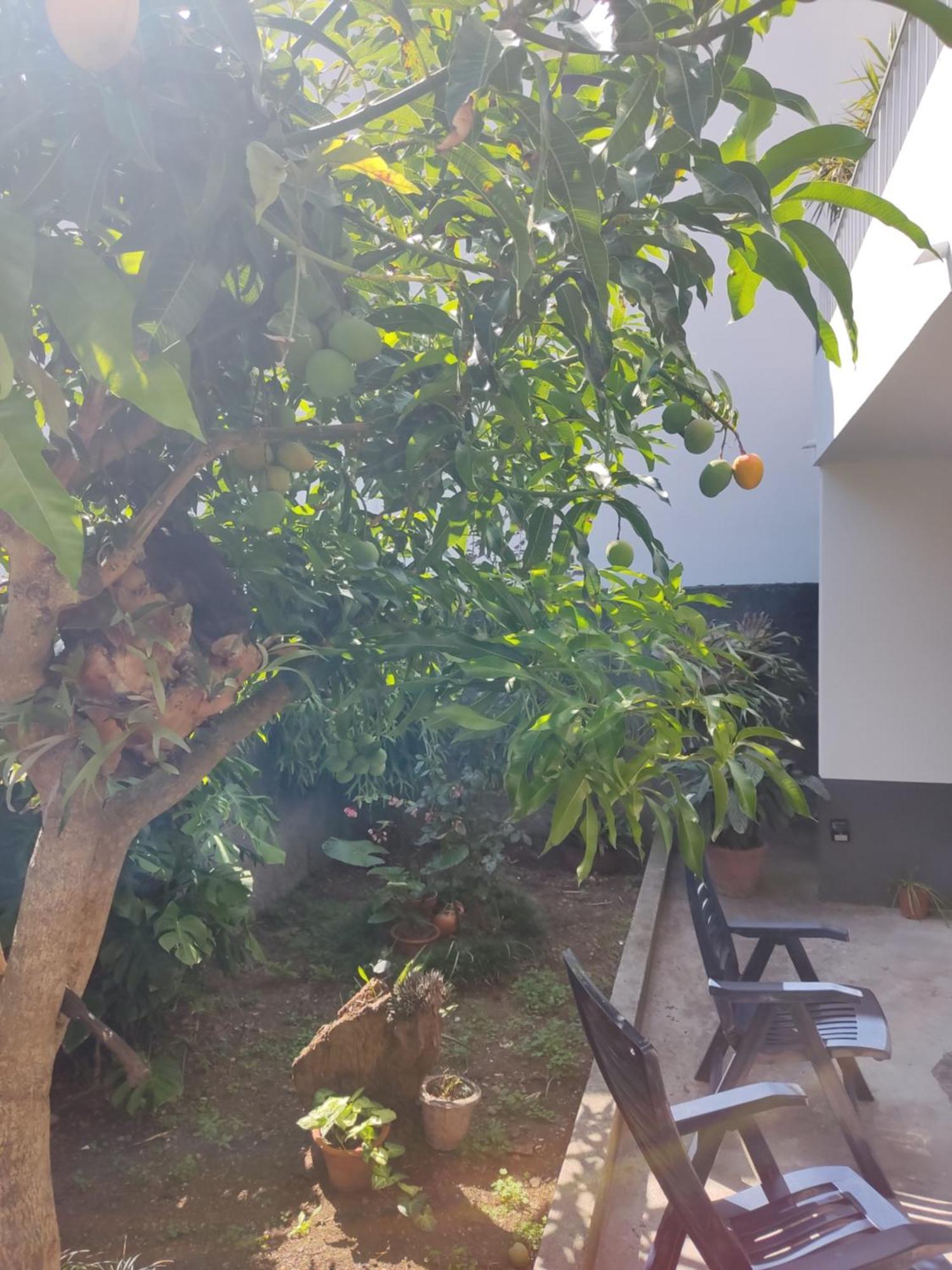 Апартаменты Casa Da Avo Rosa Сан-Висенти Экстерьер фото